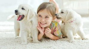 آیا سگ ها برای کودکان مفید هستند؟